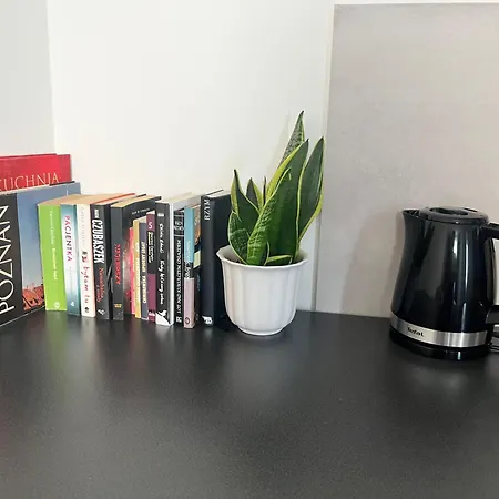 Wierzbiecice 44 Apartman