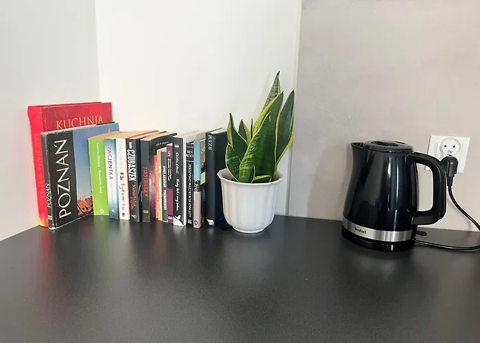 Wierzbiecice 44 Апартаменты